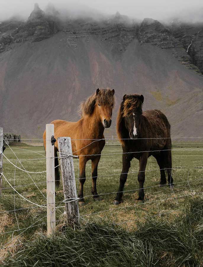 digital-marketing-agency